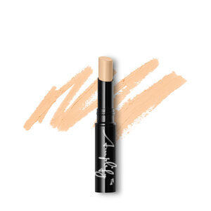 MINERAL PHOTO TOUCH CONCEALER